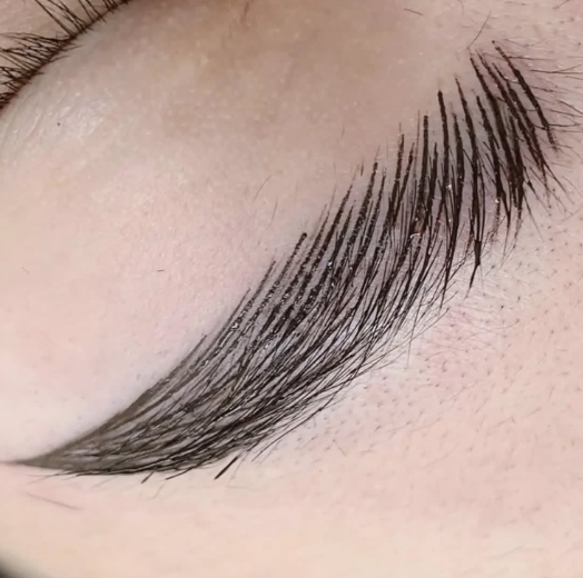 Japansko iscrtavanje